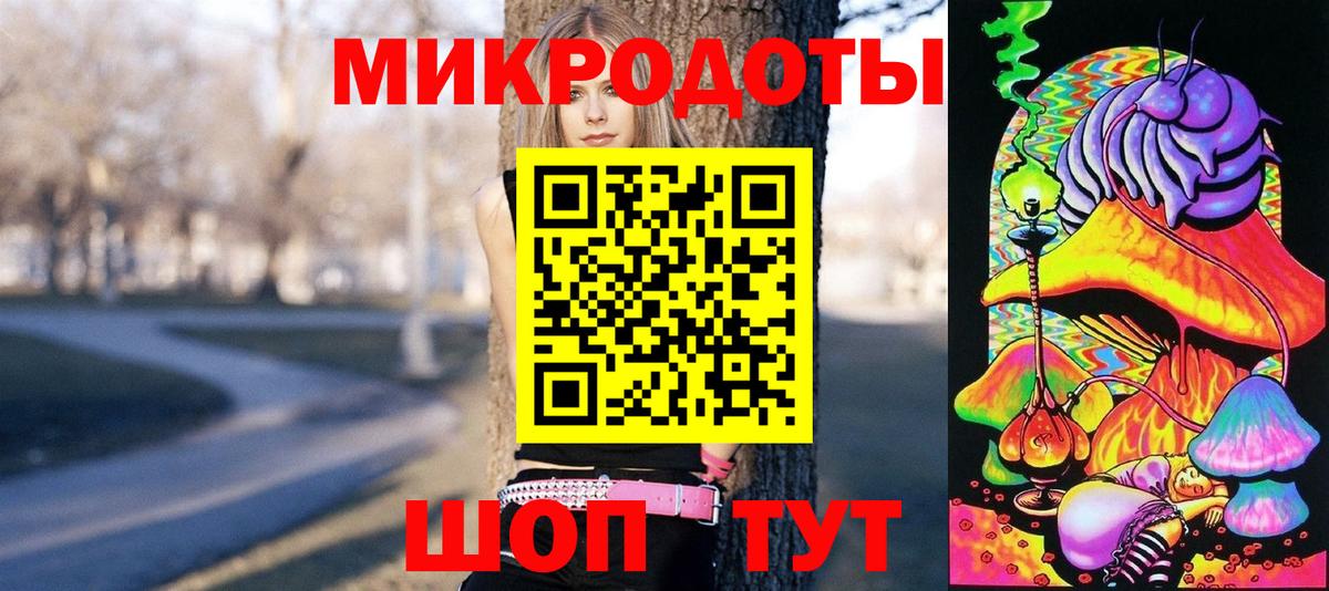 Псилоцибиновые грибы Psilocybe Санкт-Петербург