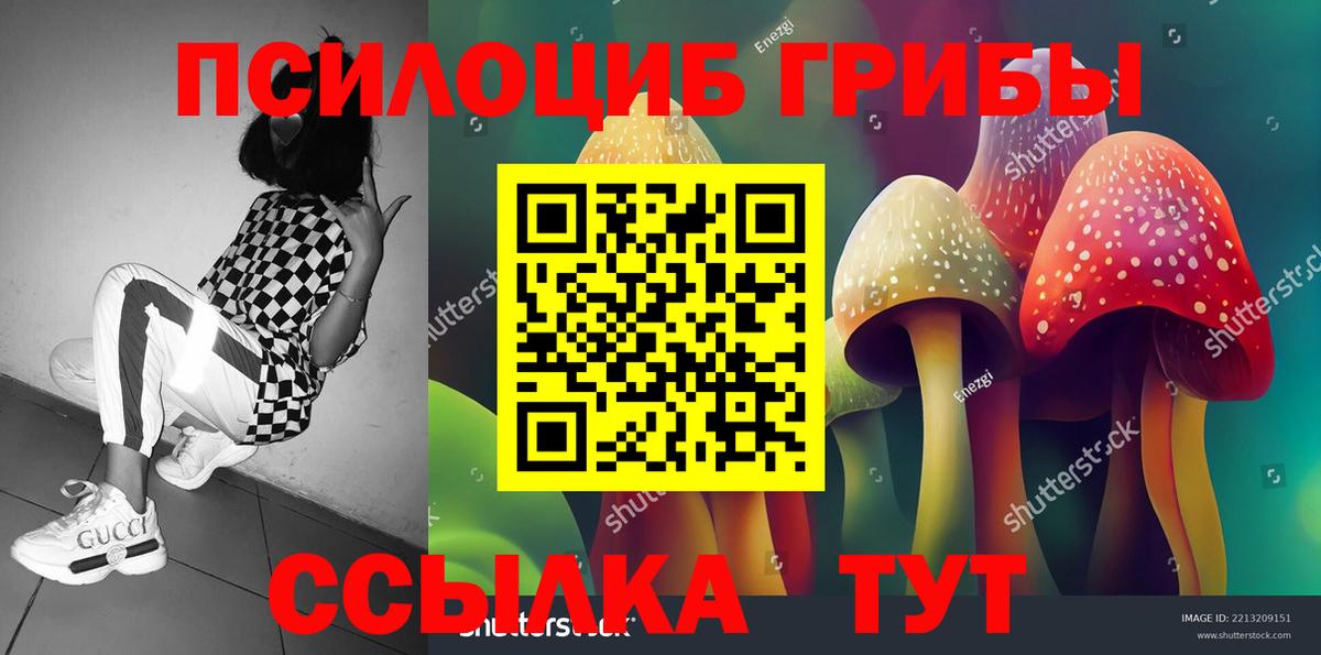 Галлюциногенные грибы Magic Shrooms  Псилоцибиновые грибы Psilocybe  Вход с VPN  Санкт-Петербург 